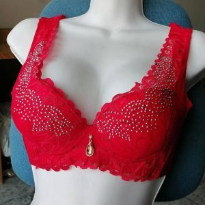 embroidered bridal bra