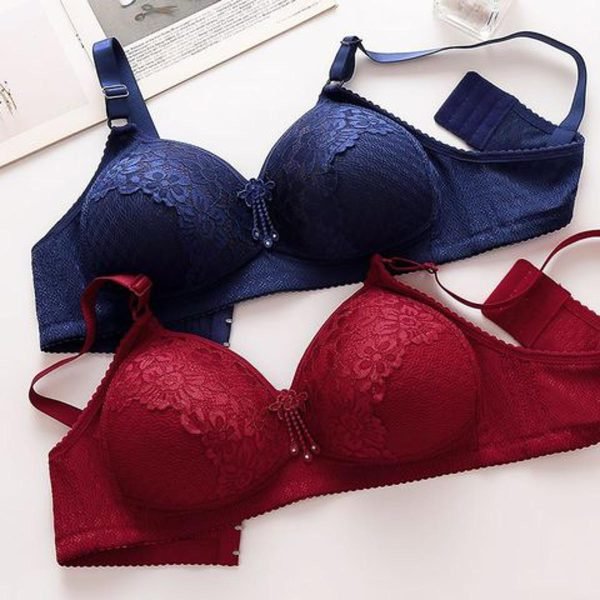 embroidered net foam bra