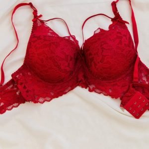 embroidered net lace foam bra