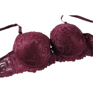 full cup net lace bra