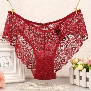 high waist brief net panty