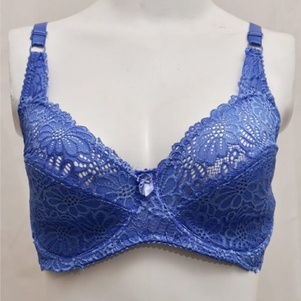 net lace bra