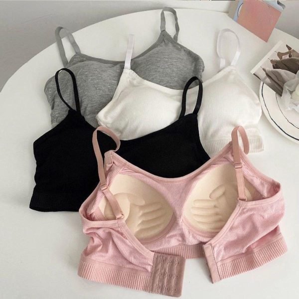 seamless non padded bra