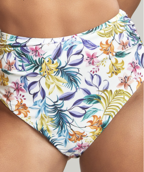 Botanical Swim Brief